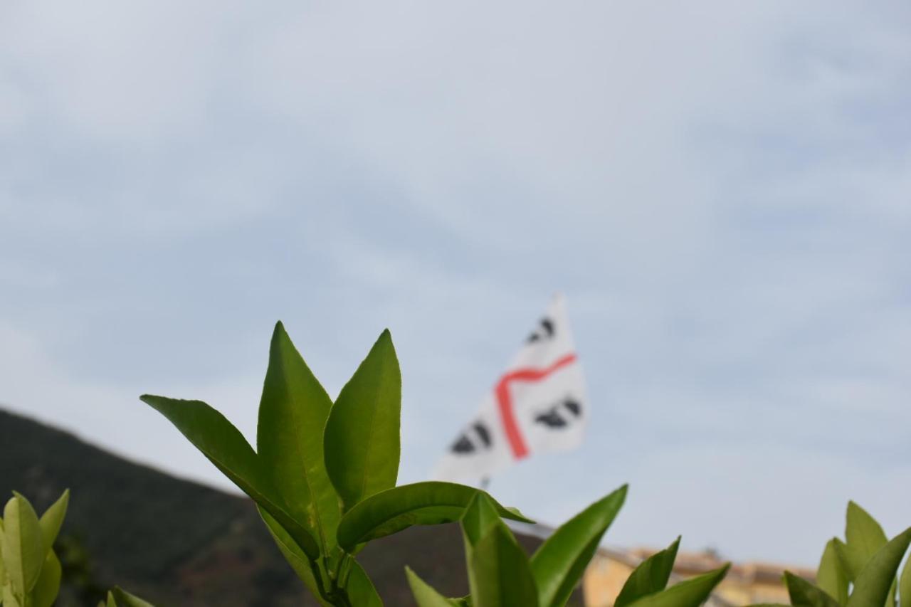穆拉沃拉Sa Mariposa住宿加早餐旅馆 外观 照片